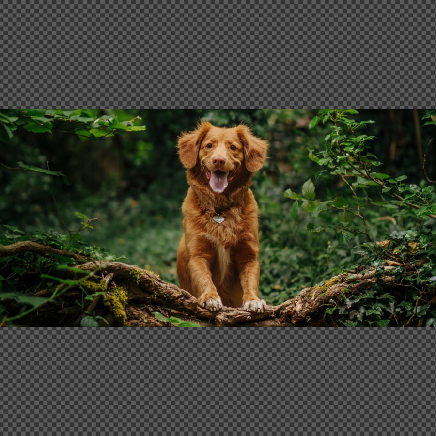 024 &#8211; 24GenAI – Make the image square