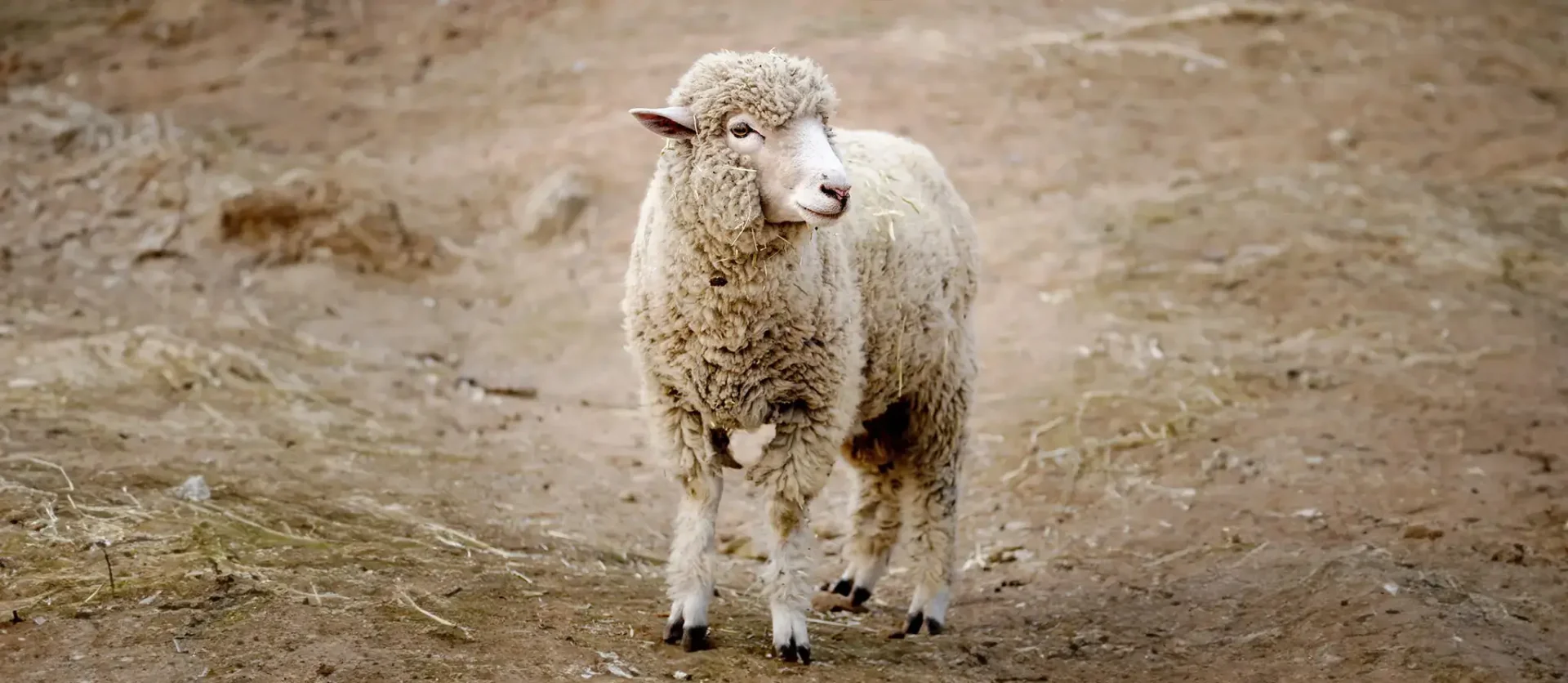 038 – 24GenAI &ndash; Darken the background of the image