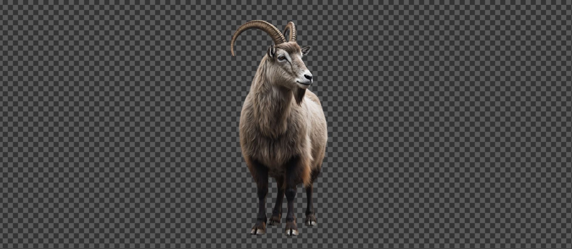 009 &#8211; 24GenAI — Remove white background from picture