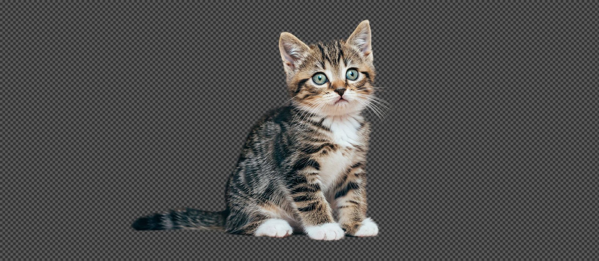 028 – 24GenAI &mdash; Remove background from image for free