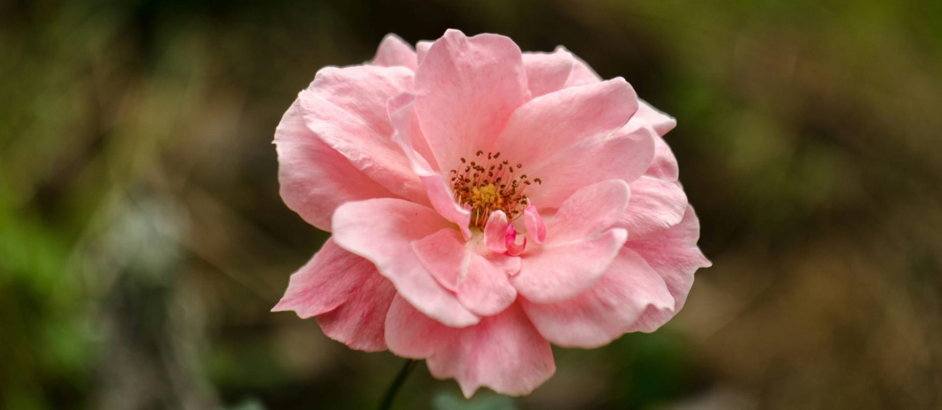 020 – 24GenAI – Make a white background