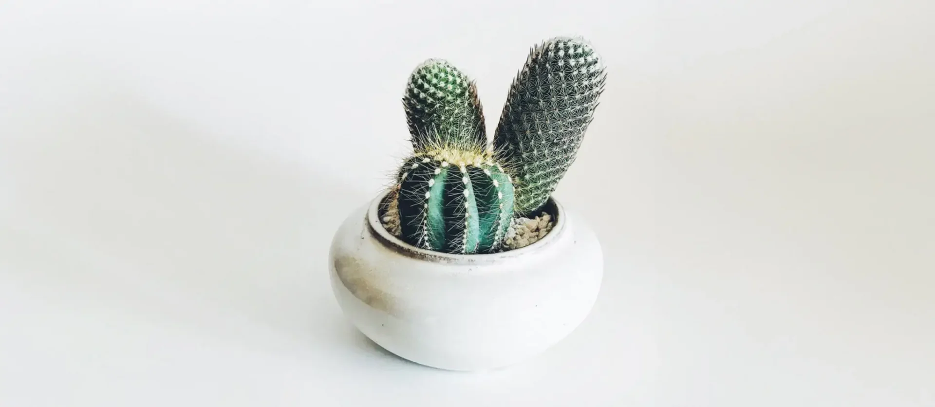 038 – 24GenAI &ndash; Darken the background of the image