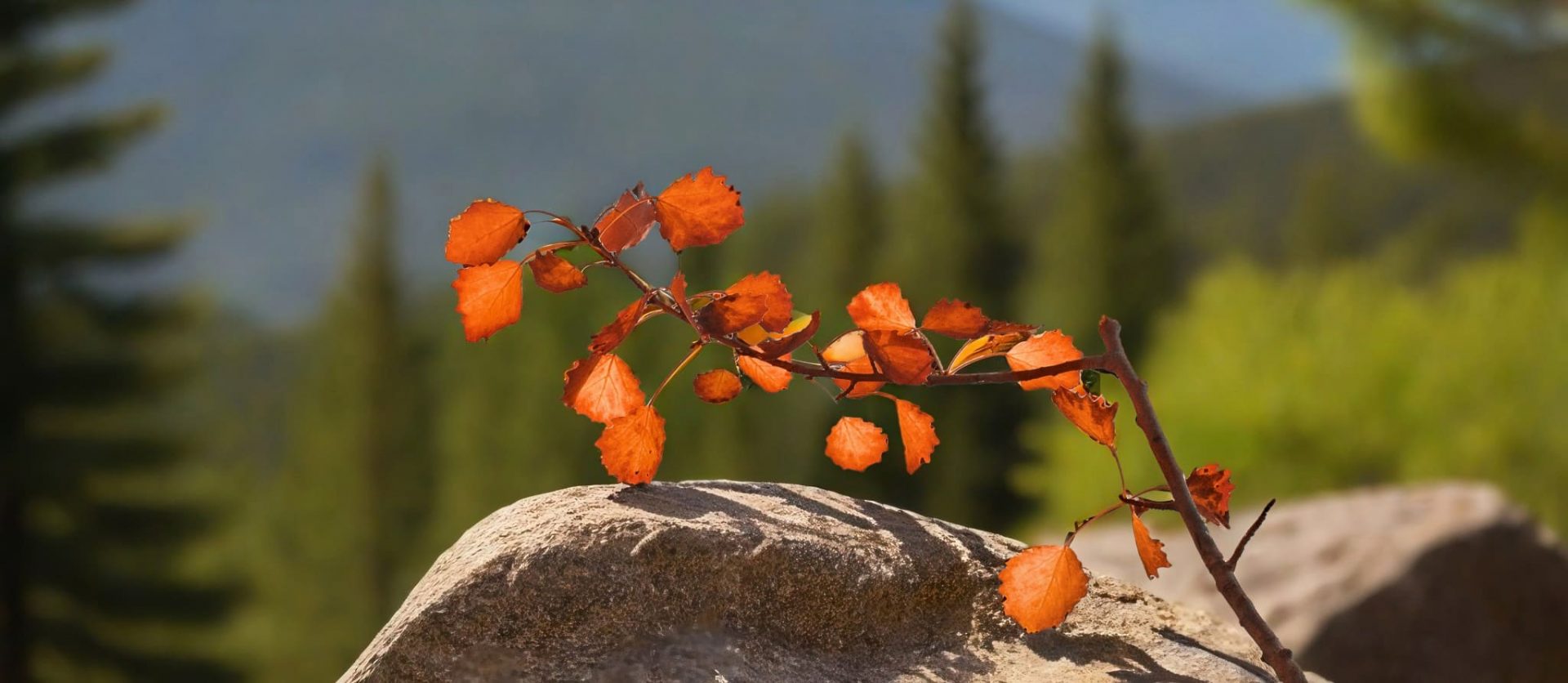 003 &#8211; 24GenAI — Add background to image