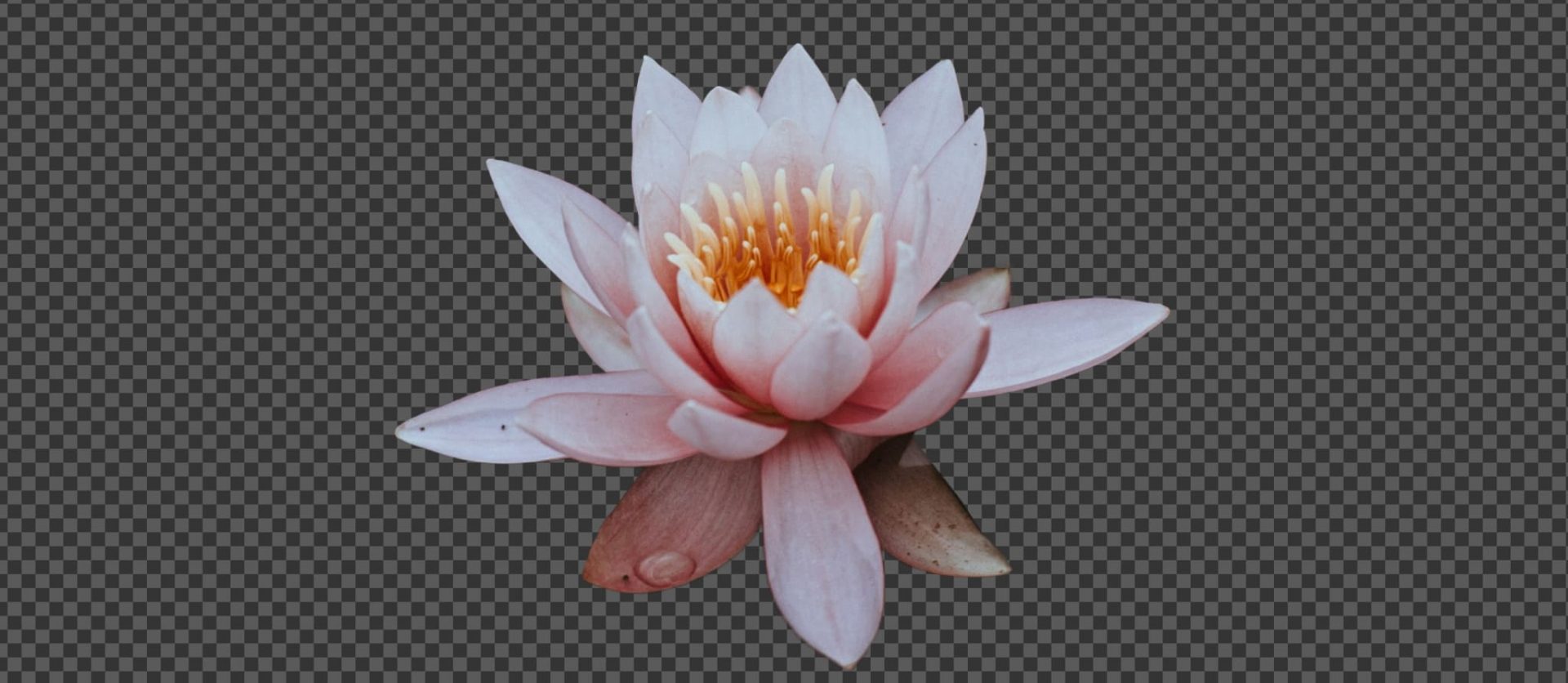 001 &#8211; 24GenAI — Cut out background from image