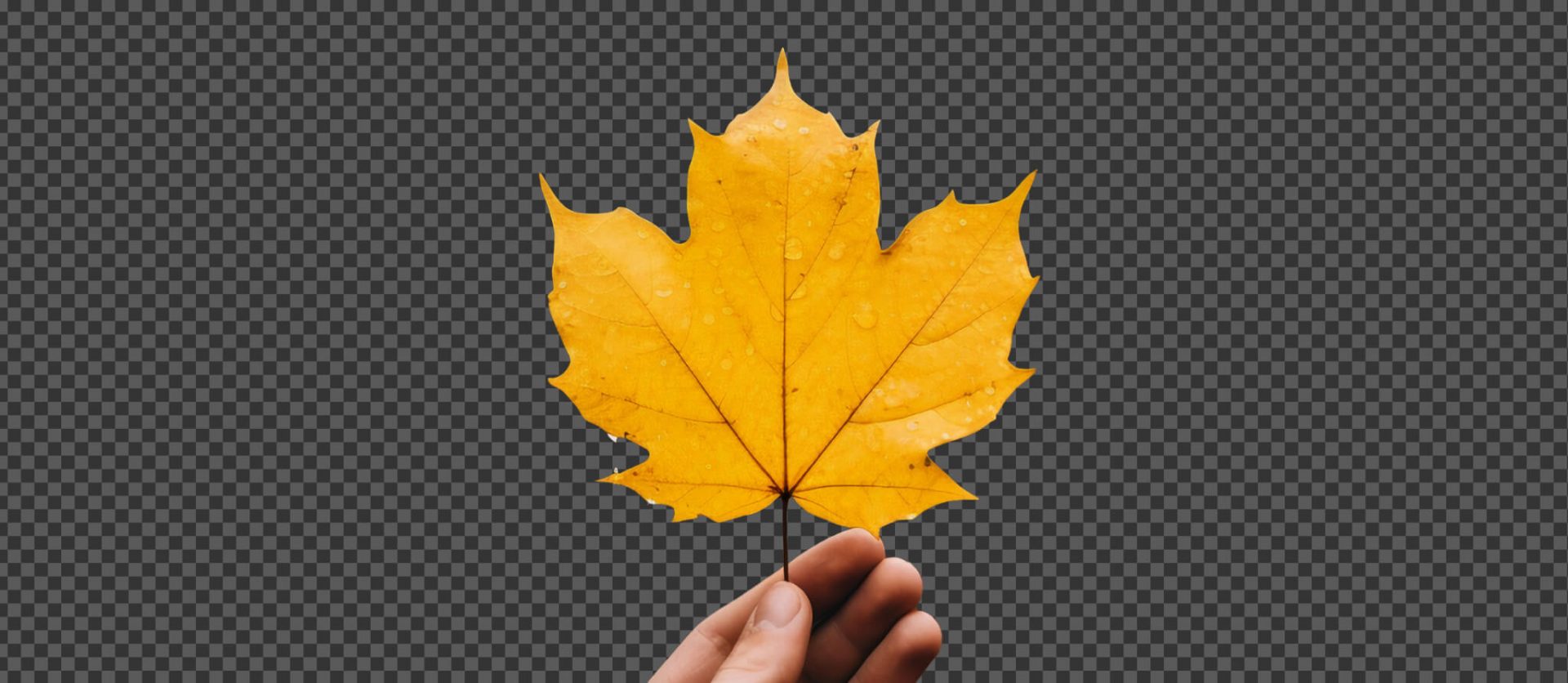 008 &#8211; 24GenAI — Make a transparent background on image