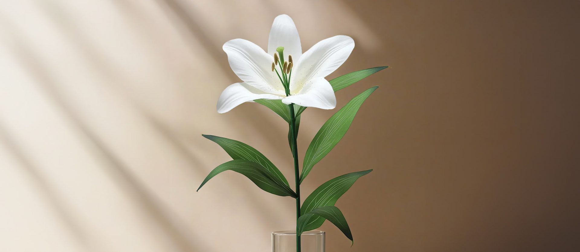 004 – 24GenAI &mdash; Replace the white background in an image