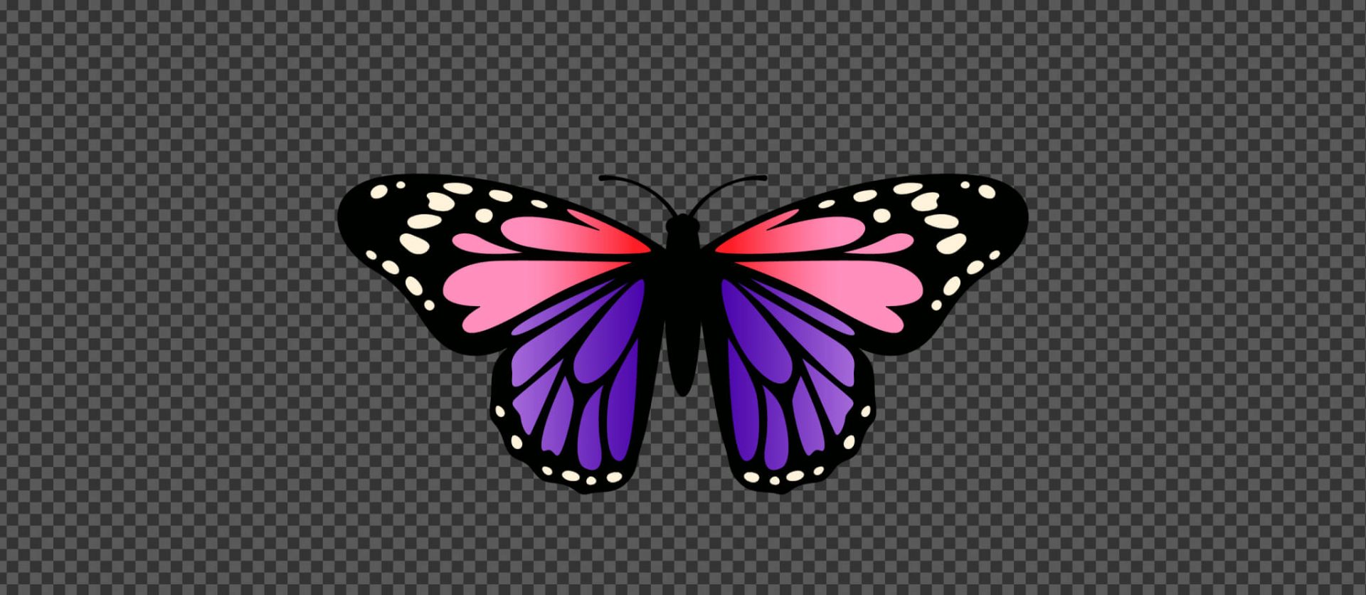 008 &#8211; 24GenAI — Make a transparent background on image