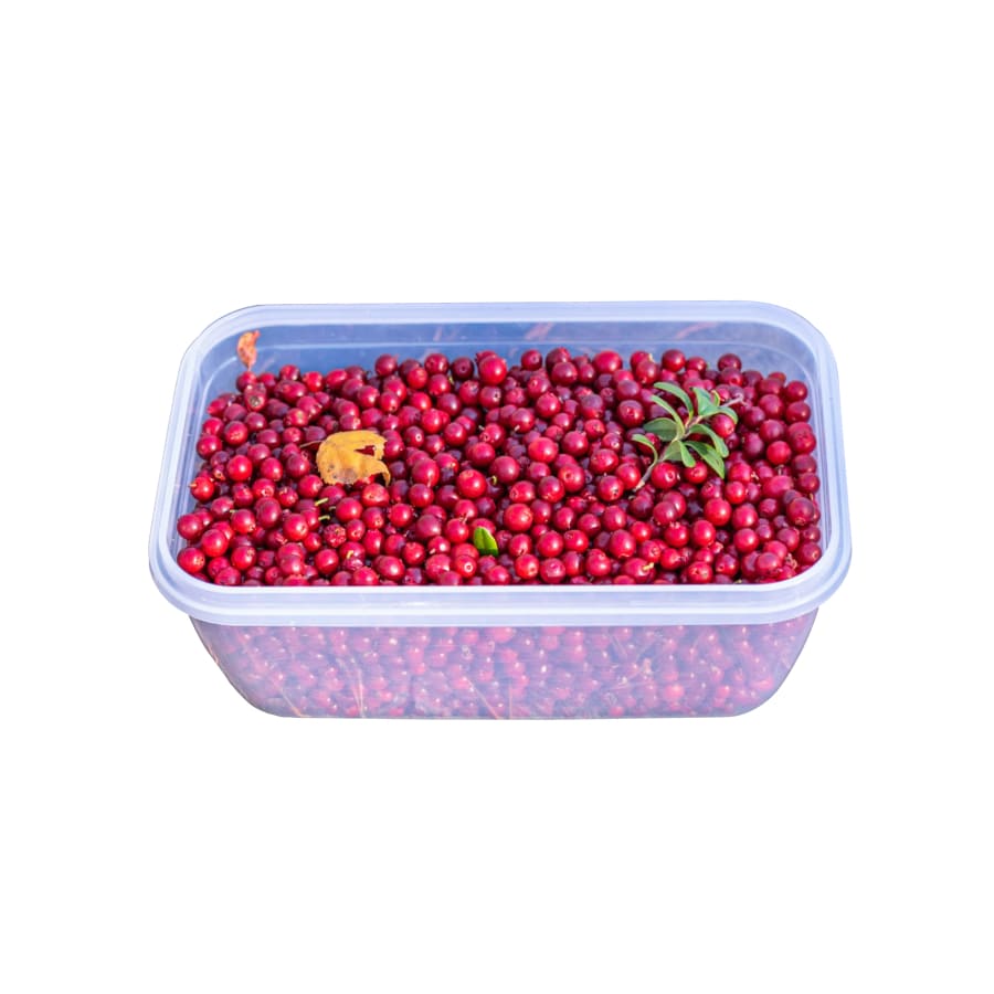 003 &#8211; 24GenAI — Add background to image