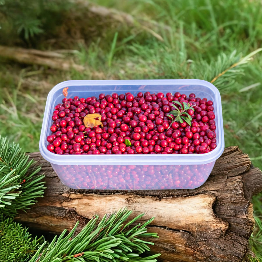 003 &#8211; 24GenAI — Add background to image