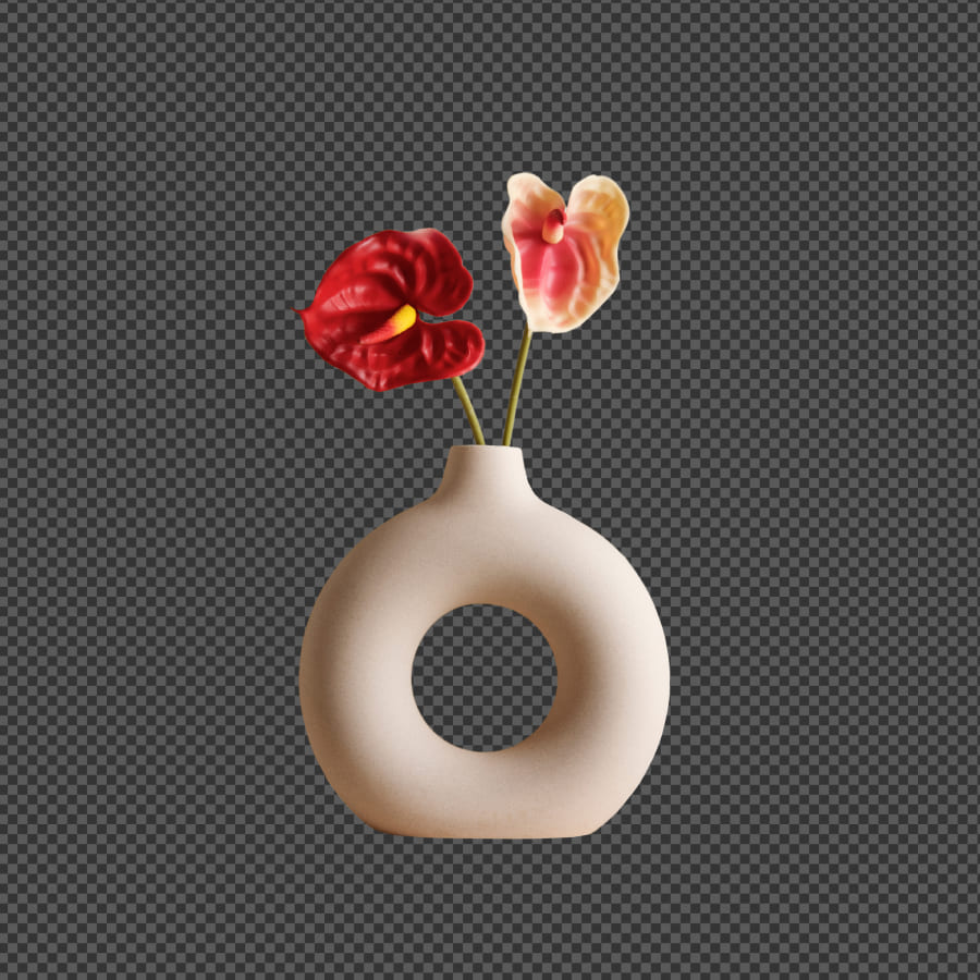 009 &#8211; 24GenAI — Remove white background from picture