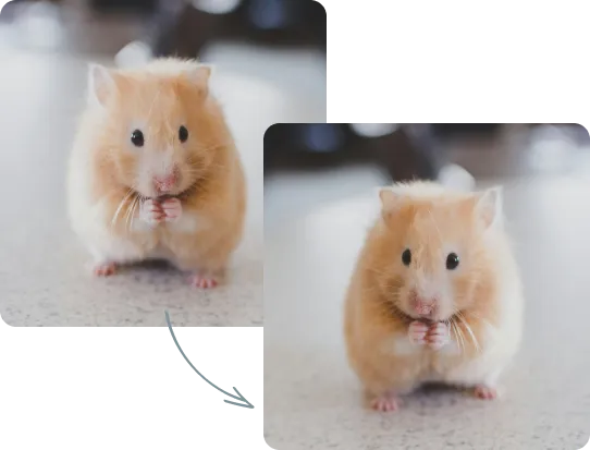 053 – 24GenAI &mdash; Reflect the image horizontally