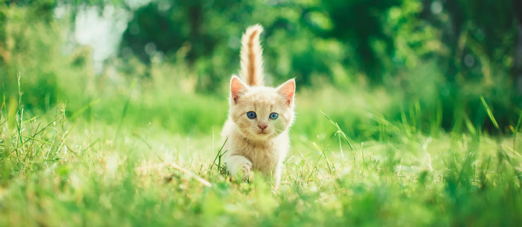 074 – 24GenAI &ndash; Make image negative (invert colors)