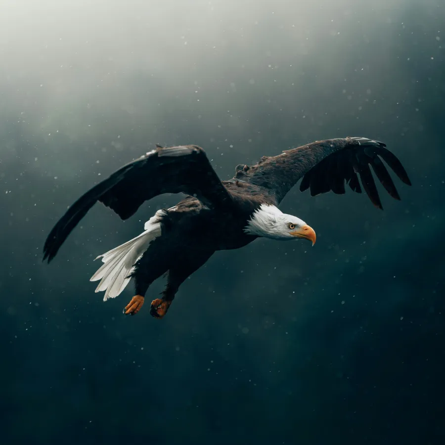 056 &#8211; 24GenAI – Rotate image 270 degrees