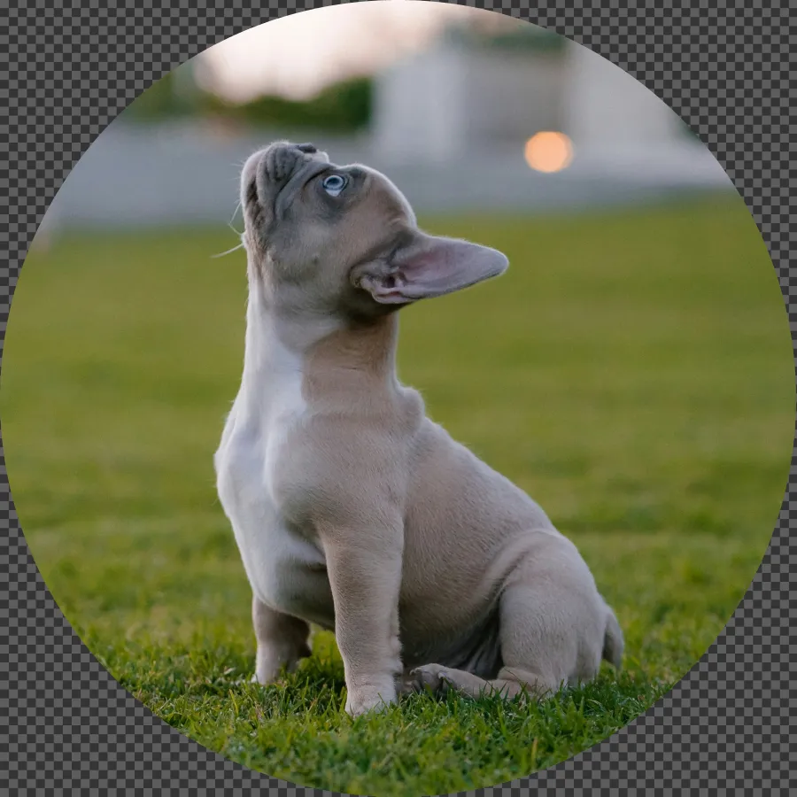068 &#8211; 24GenAI – Make the image round