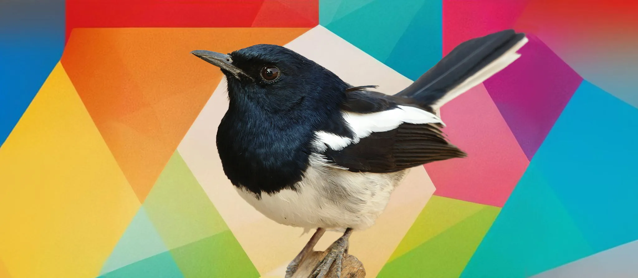 078 &#8211; 24GenAI — Make a multicolored background on the image