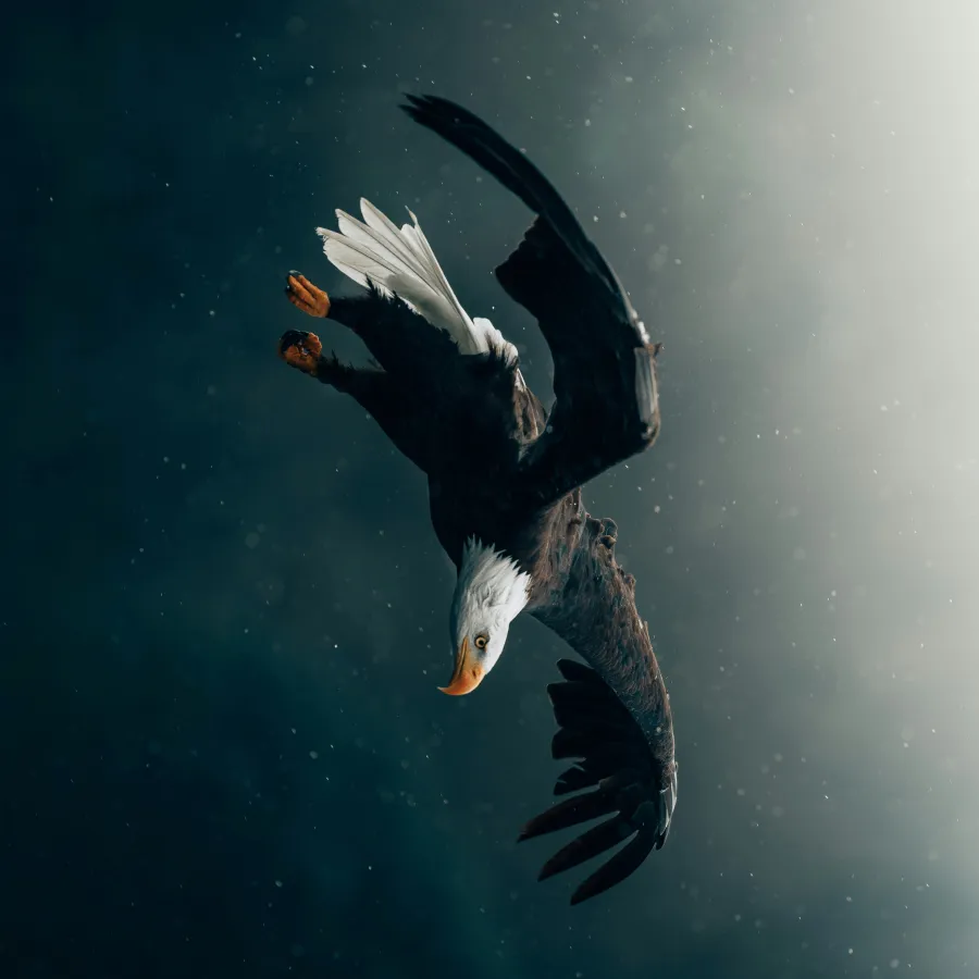 056 &#8211; 24GenAI – Rotate image 270 degrees