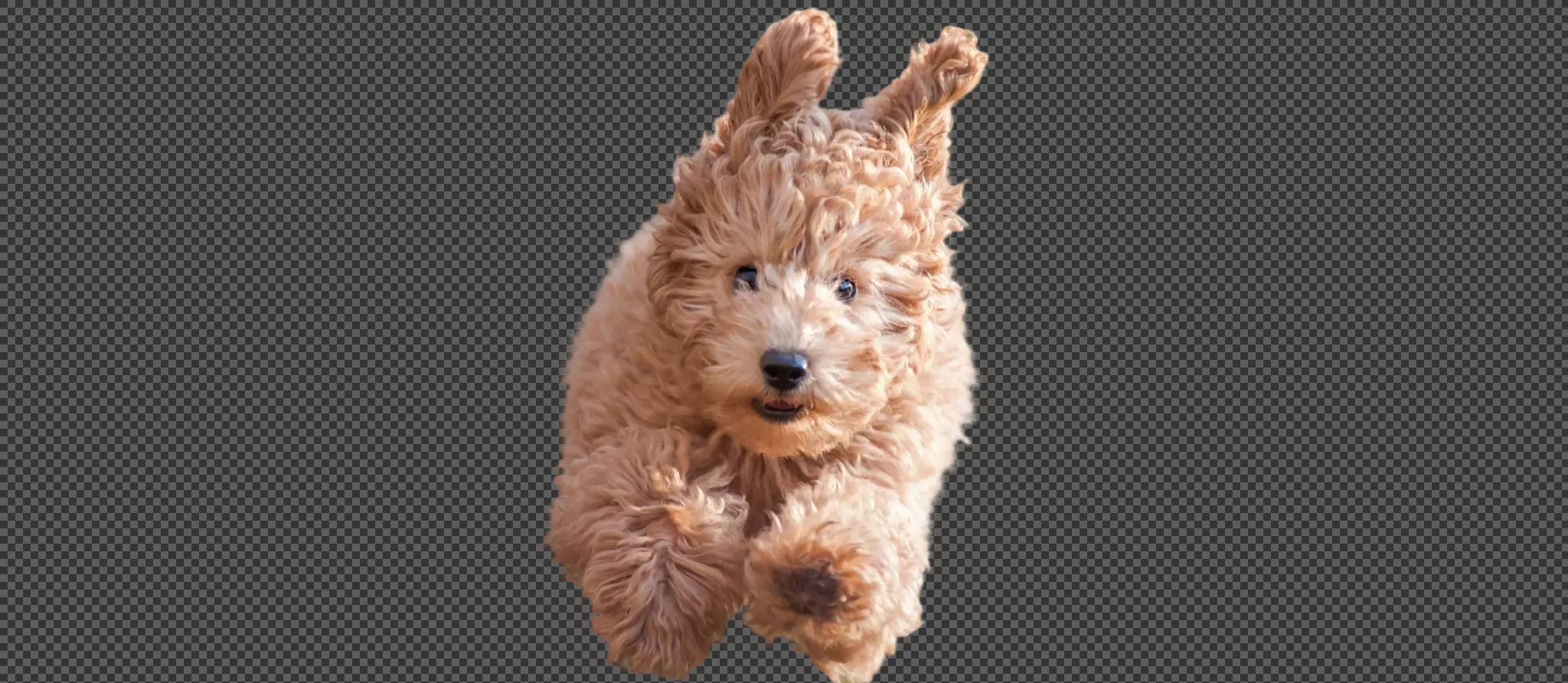 089 &#8211; 24GenAI — Remove the background on a GIF image