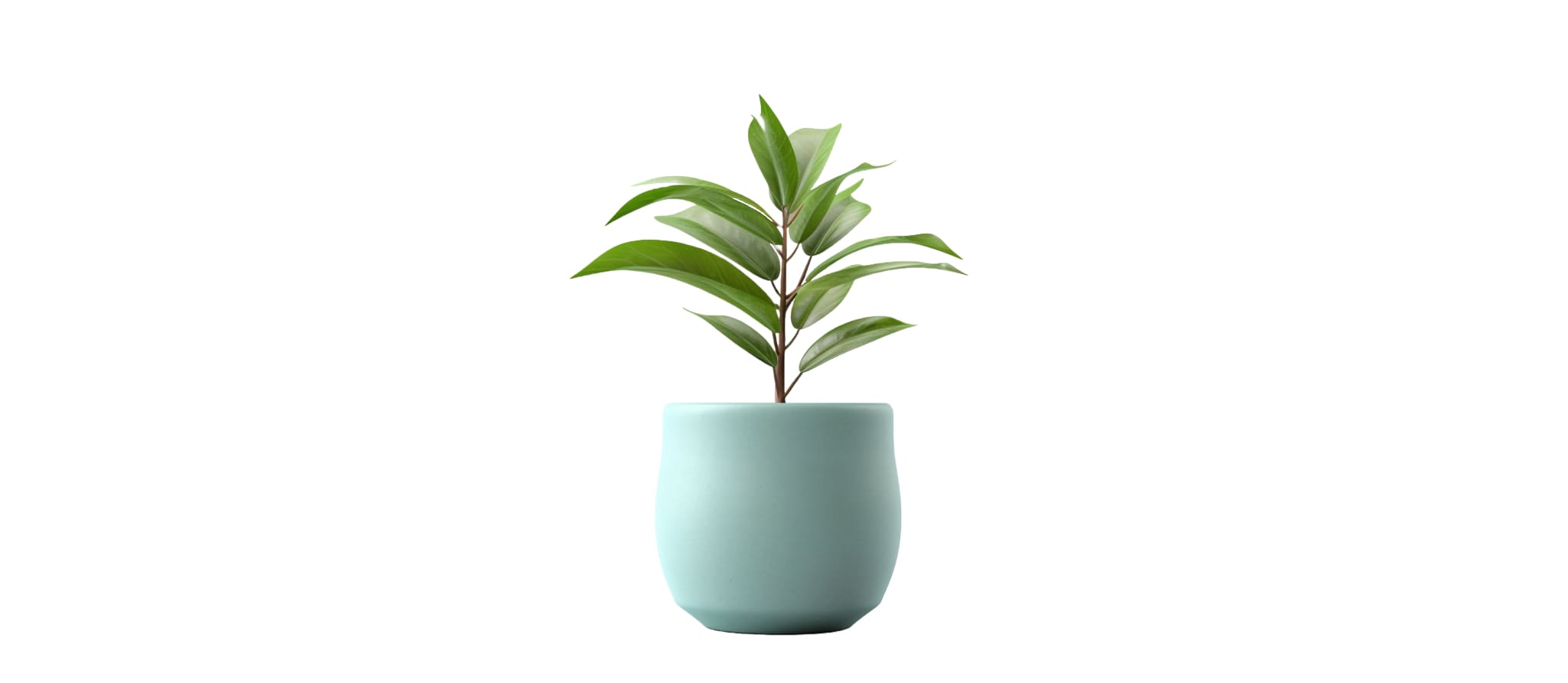 097 &#8211; 24GenAI — Product photos for Amazon