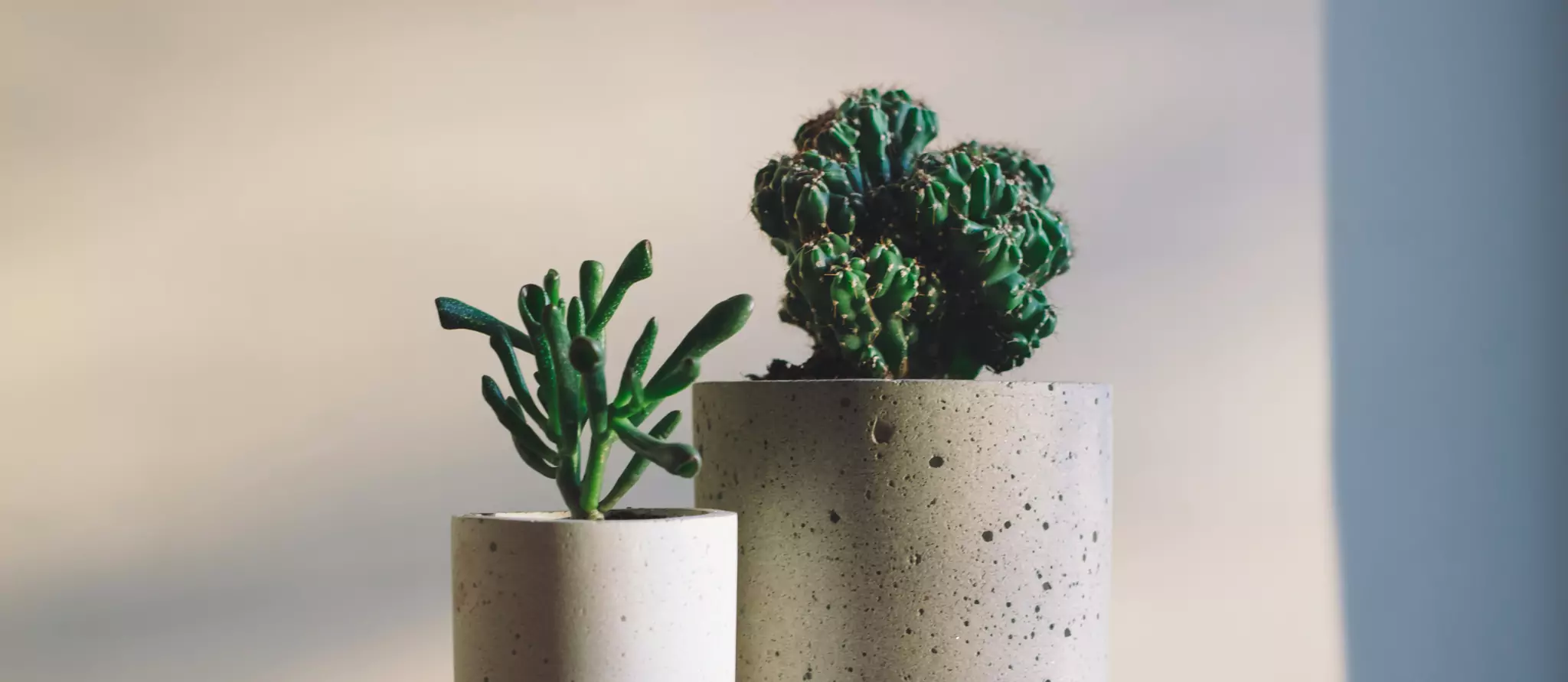 090 &#8211; 24GenAI — Remove background on a JPG image