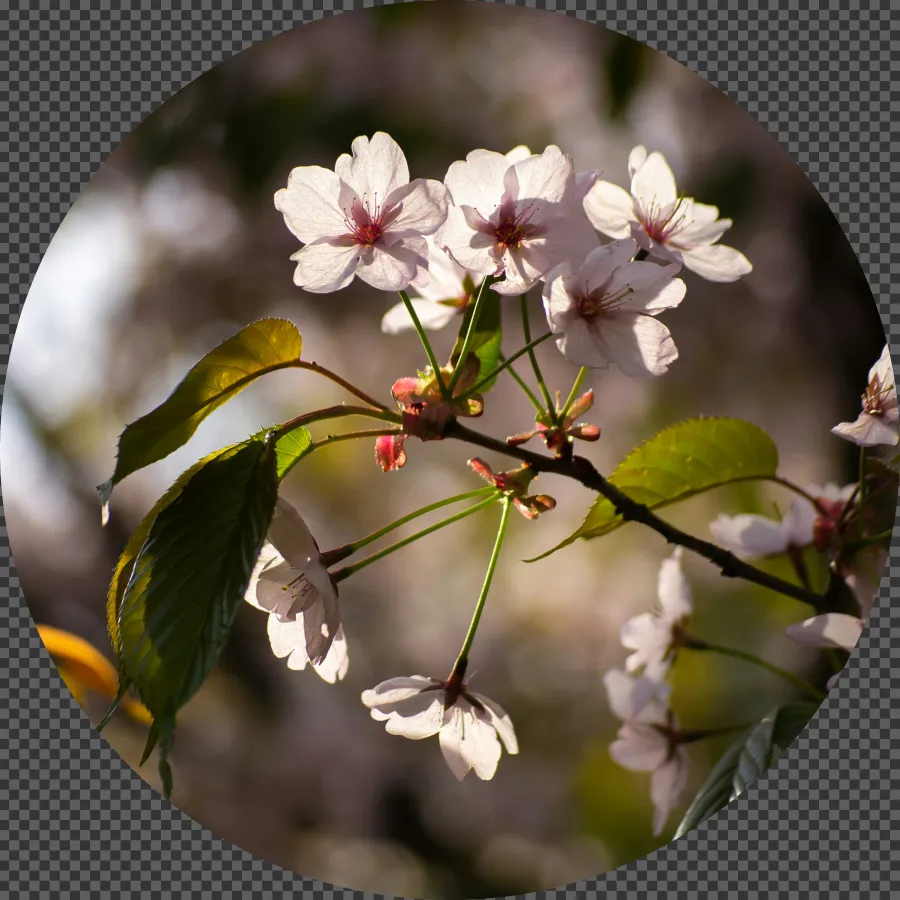 068 &#8211; 24GenAI – Make the image round