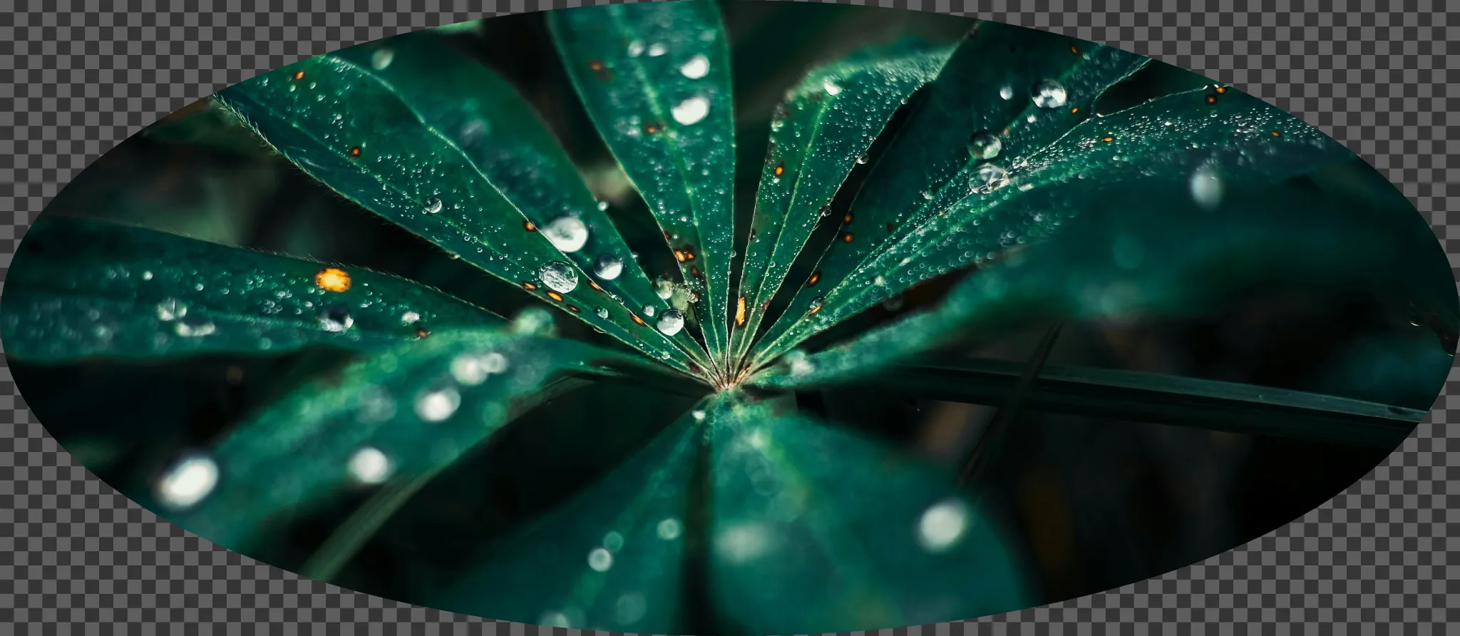 069 &#8211; 24GenAI — Make the image oval