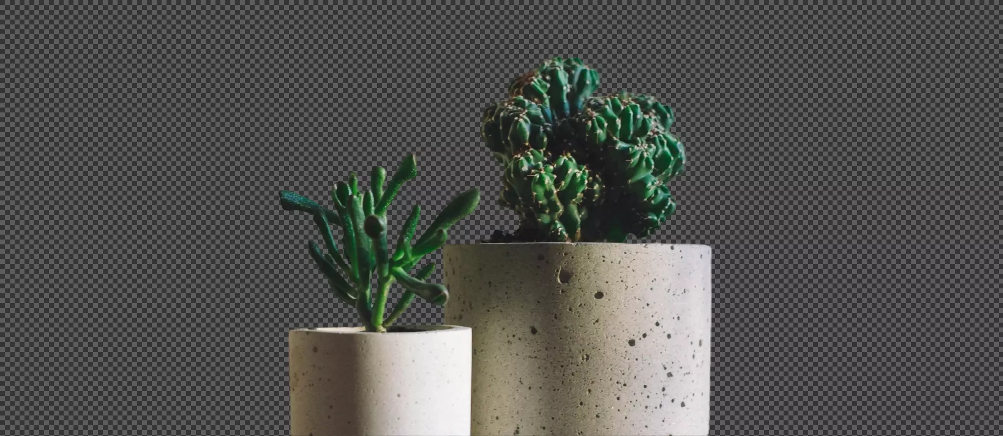 090 &#8211; 24GenAI — Remove background on a JPG image