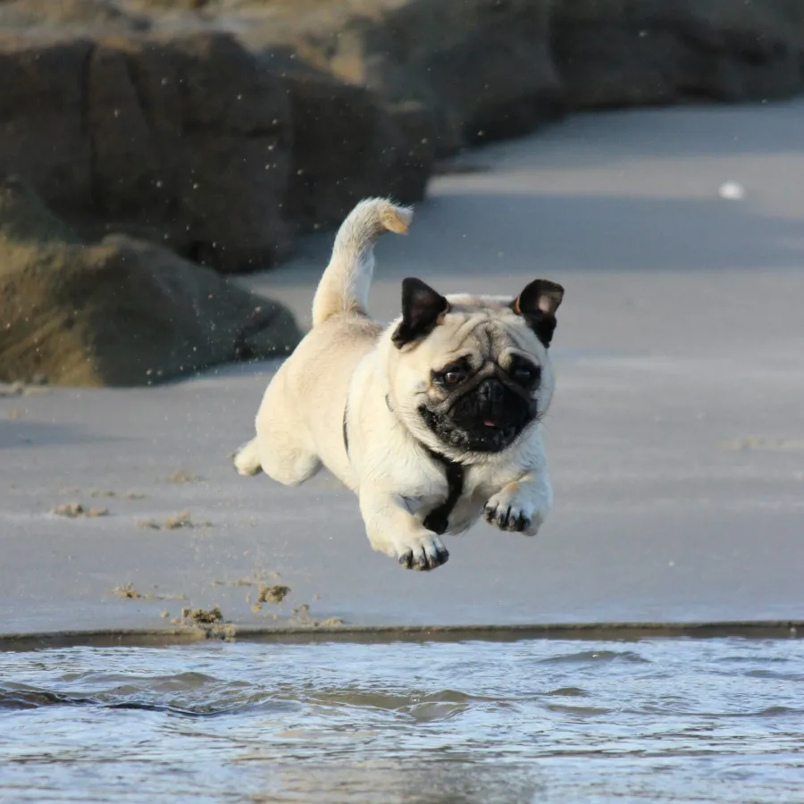 069 &#8211; 24GenAI — Make the image oval