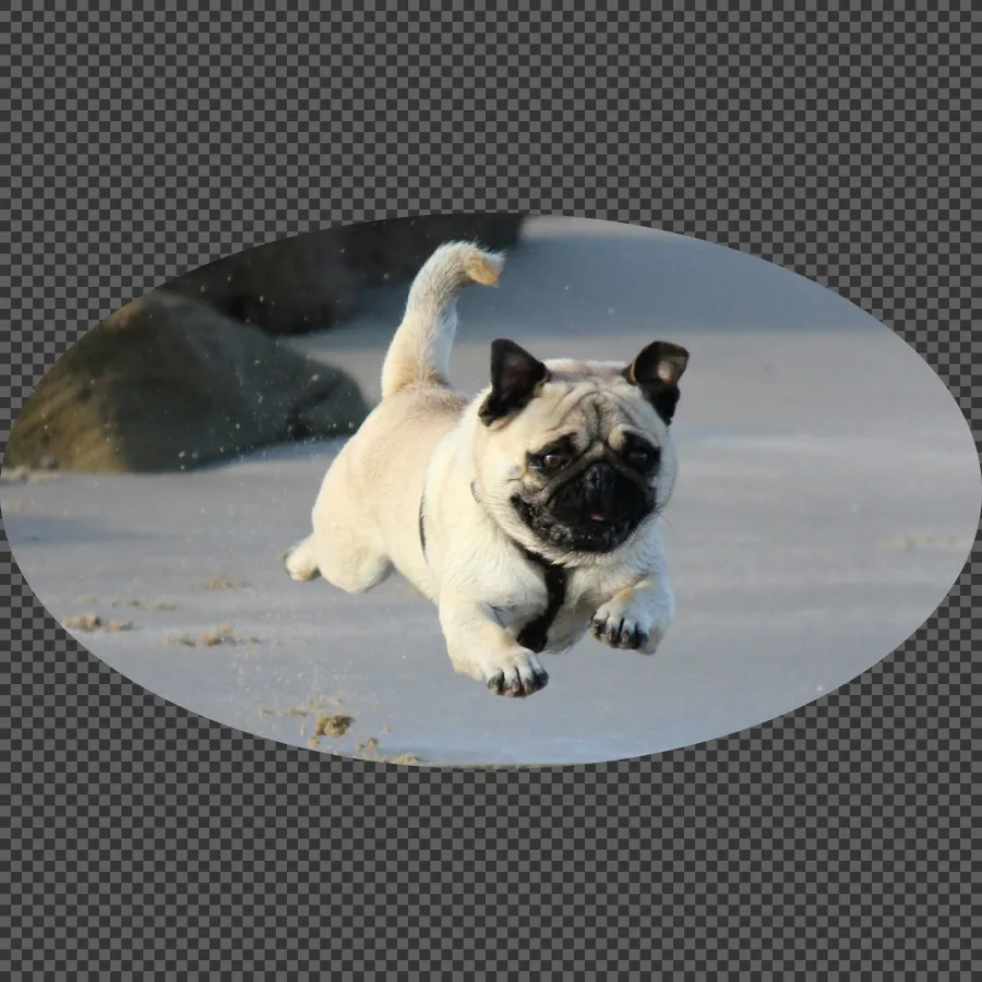 069 &#8211; 24GenAI — Make the image oval